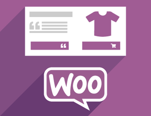 The Woo-commerce plug-in explained for ecommerce